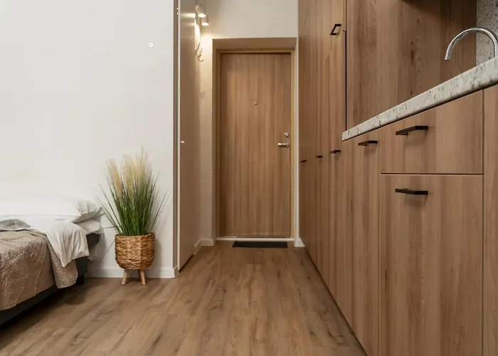 Διαμέρισμα Air 219 Βίλνιους