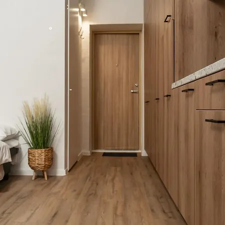 公寓 Air 219 维尔纽斯