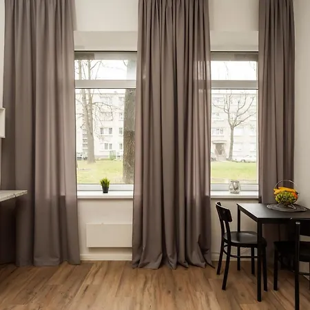 Air 219 公寓 维尔纽斯