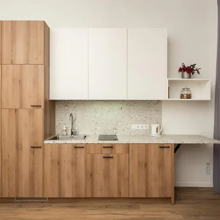 公寓 Air 219 维尔纽斯