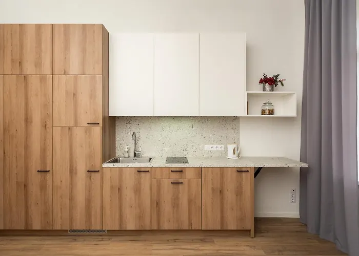 Apartment Air 219 Vilnius